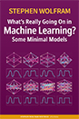 <!--03-->What's Really Going On in Machine Learning? Some Minimal Models <!--03-->What's Really Going On in Machine Learning? Some Minimal Models